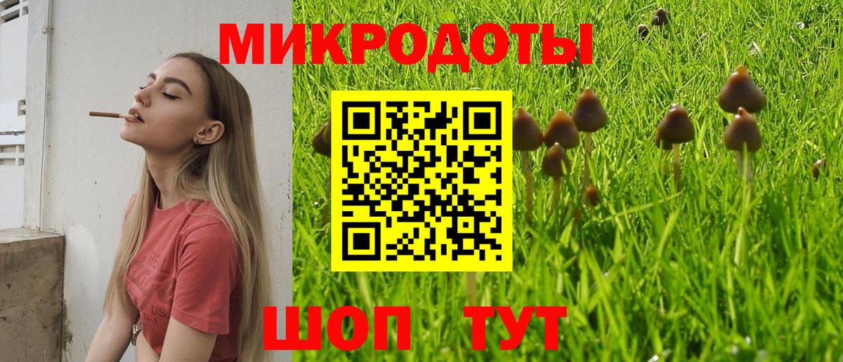 Псилоцибиновые грибы GOLDEN TEACHER Протвино